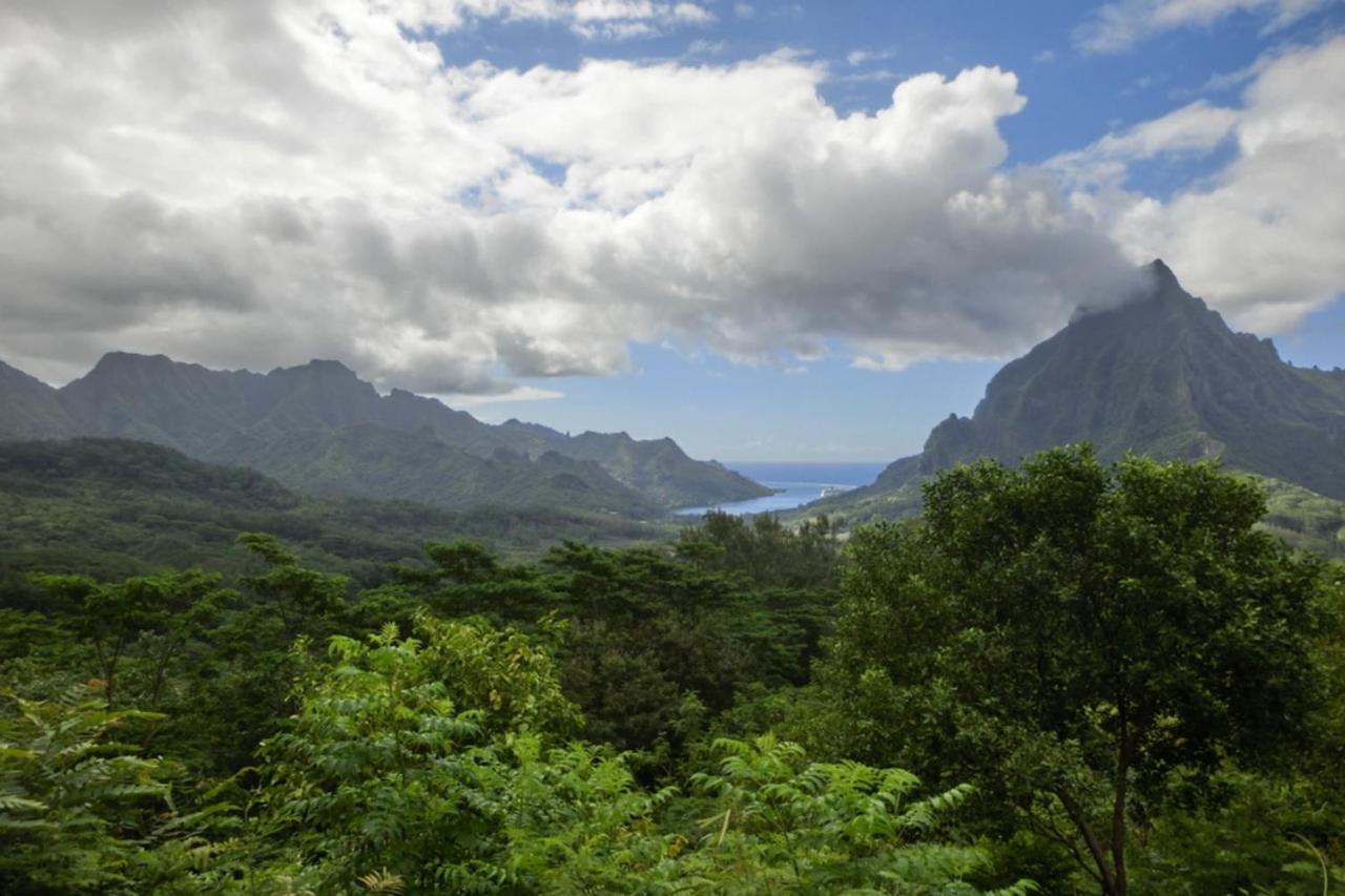Auti Studio Direct Access To The Beach On Moorea With Ac -Wifi - Netflix Apartman Haapiti Kültér fotó